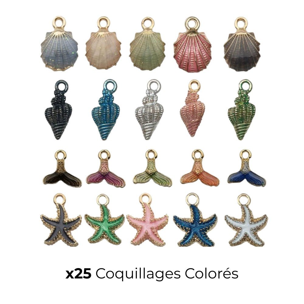 Coquillages Colorés - Charme Breton