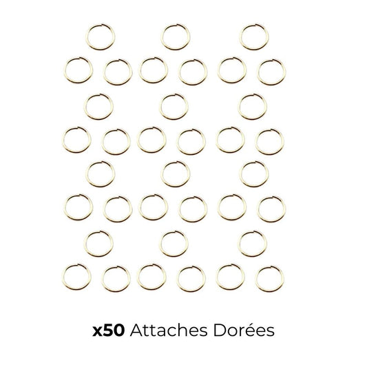 Attaches Dorées - Charme Breton